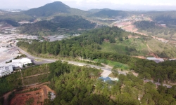 Bị thu hồi dự án gần 800 ha, doanh nghiệp khởi kiện tỉnh Lâm Đồng